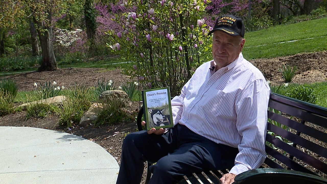 Veteran on a mission to rescue 50,000 dogs 