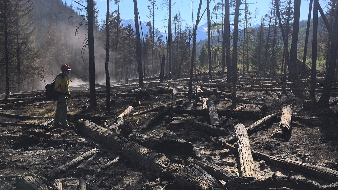 straight creek fire.png