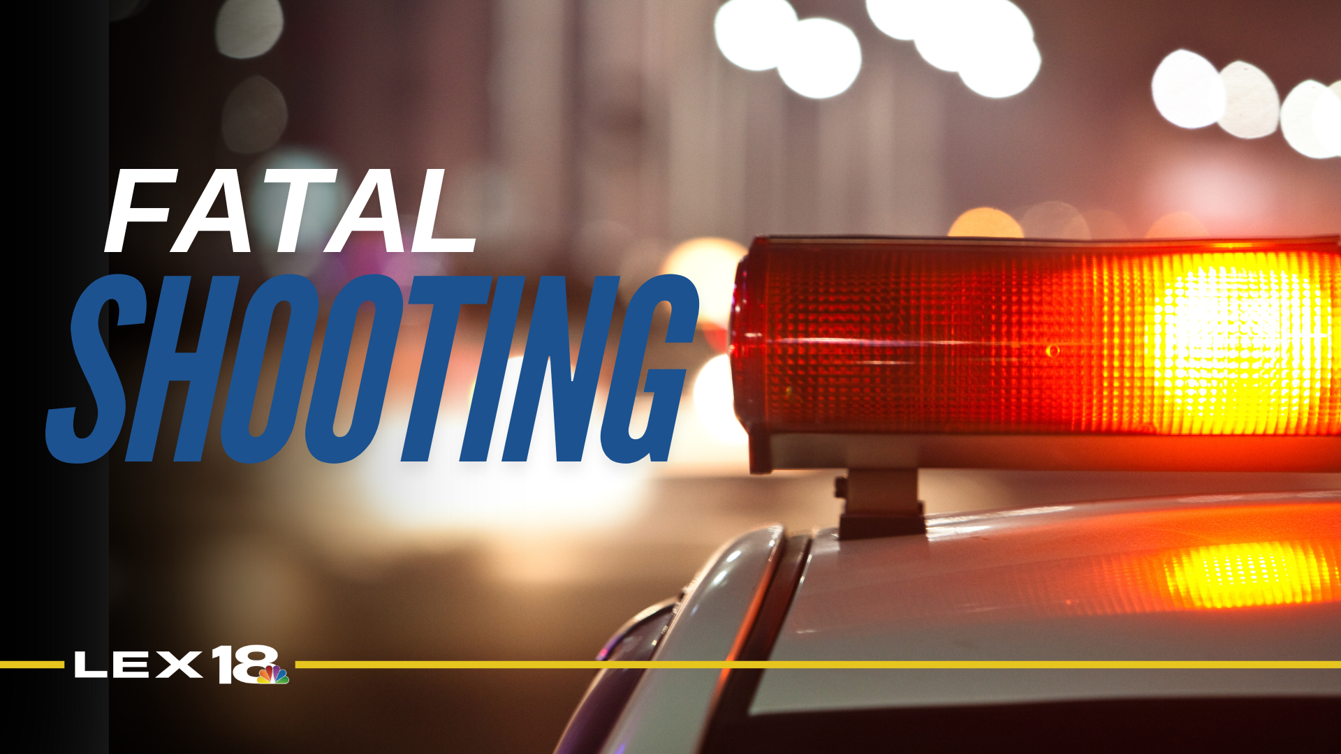 stock policecrash images for web (9).png