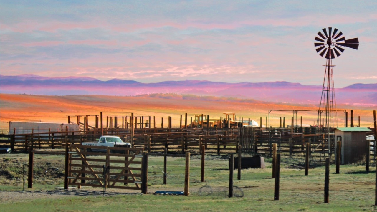 Near Hartsel, Colorado