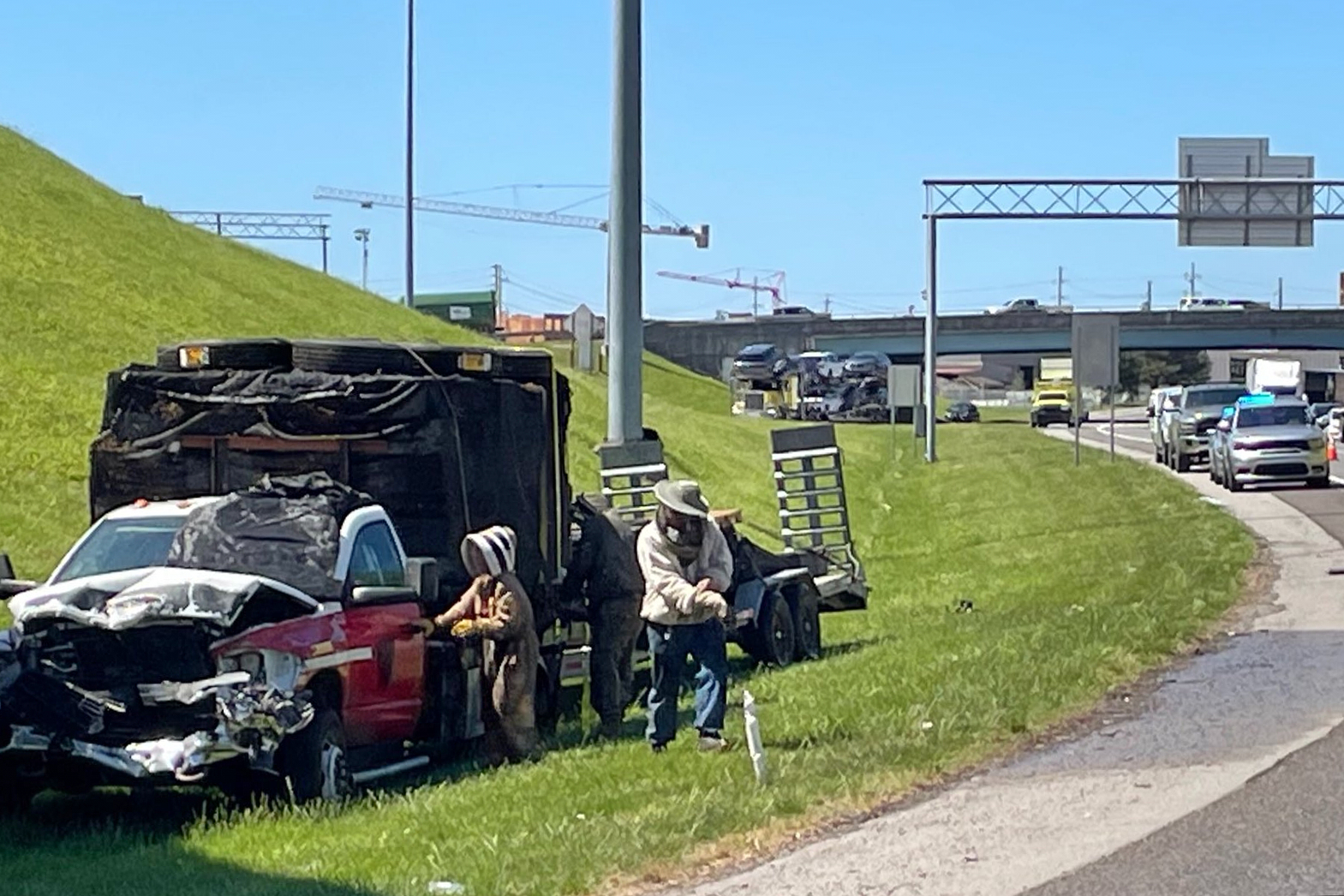 Highway Crash-Bee Swarm
