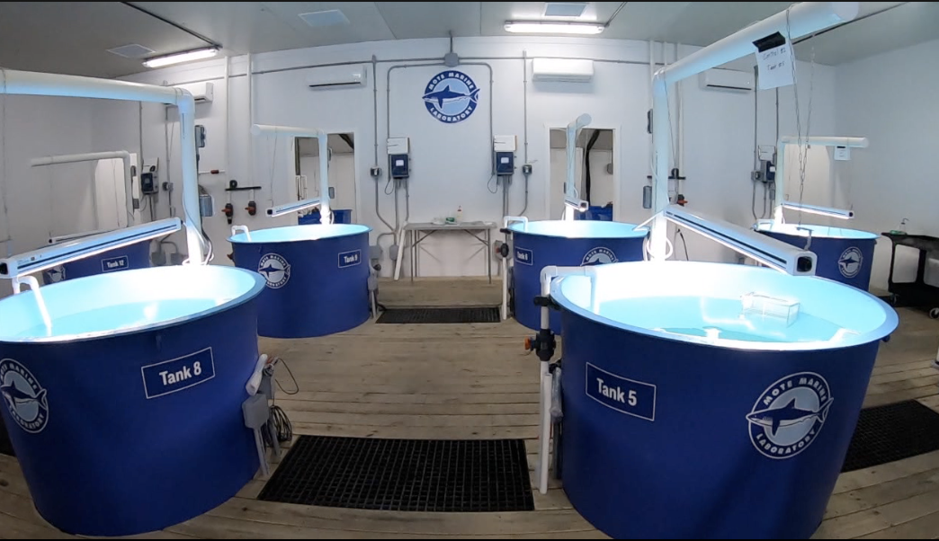 mobile wastewater treatment machine (1).png