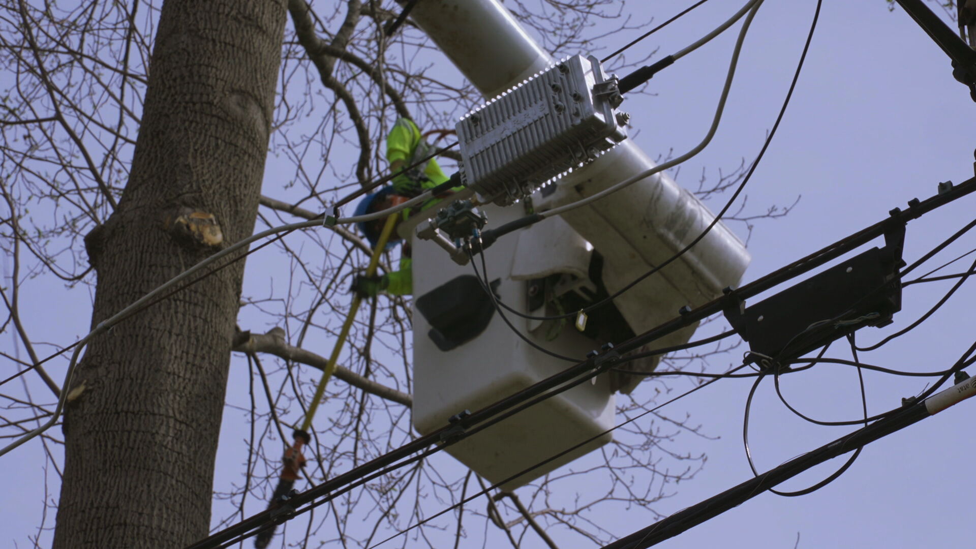 6p Kim MTE tree_vegetation pruning - PKG_frame_336.jpeg