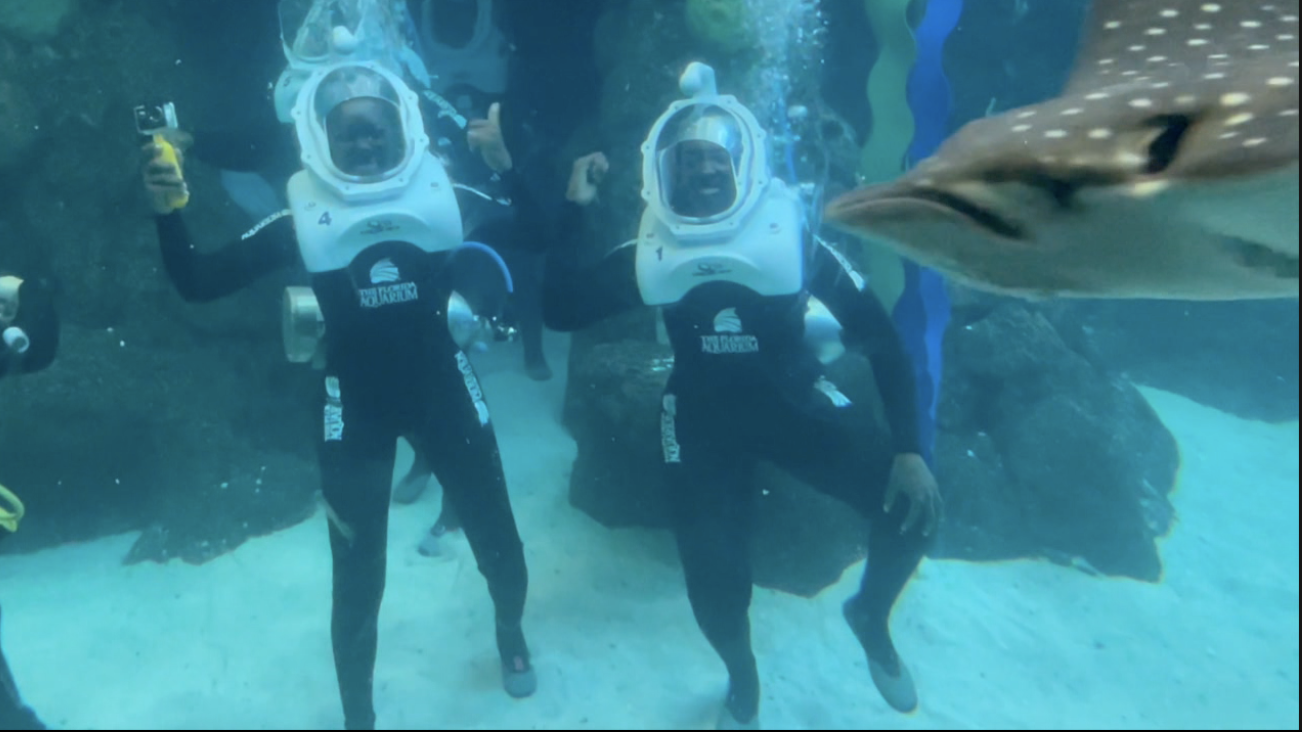 Screen Shot 2023-01-18 at 9.09.22 PM.png