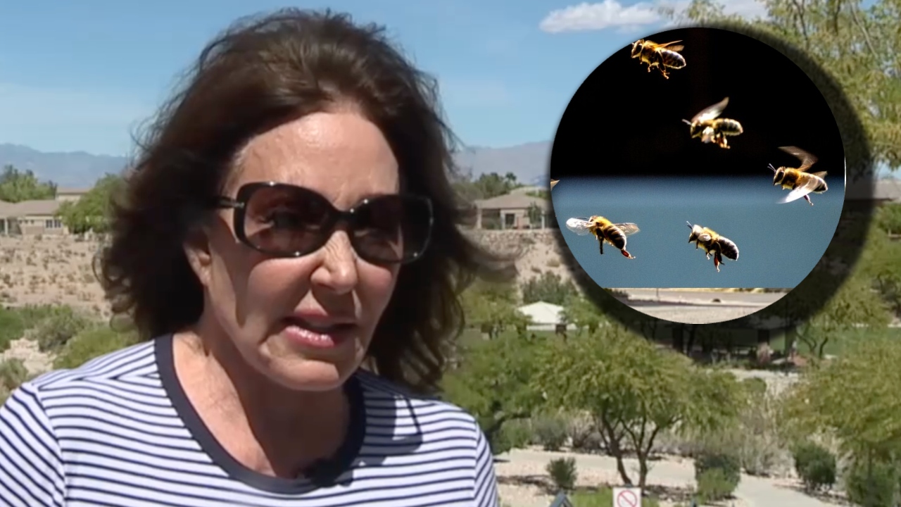 Summerlin bee attack