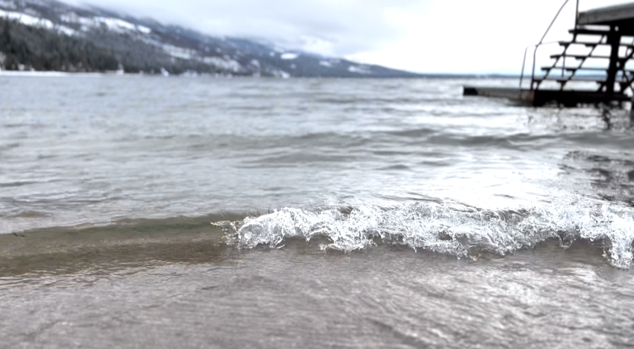 Spring Mack Days helping reduce non-native fish in Flathead Lake - Vimarsana News