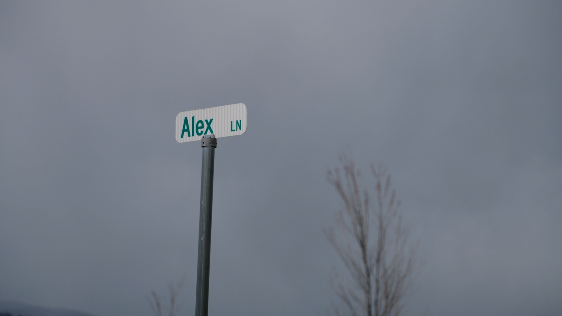 Alex Lane Shooting