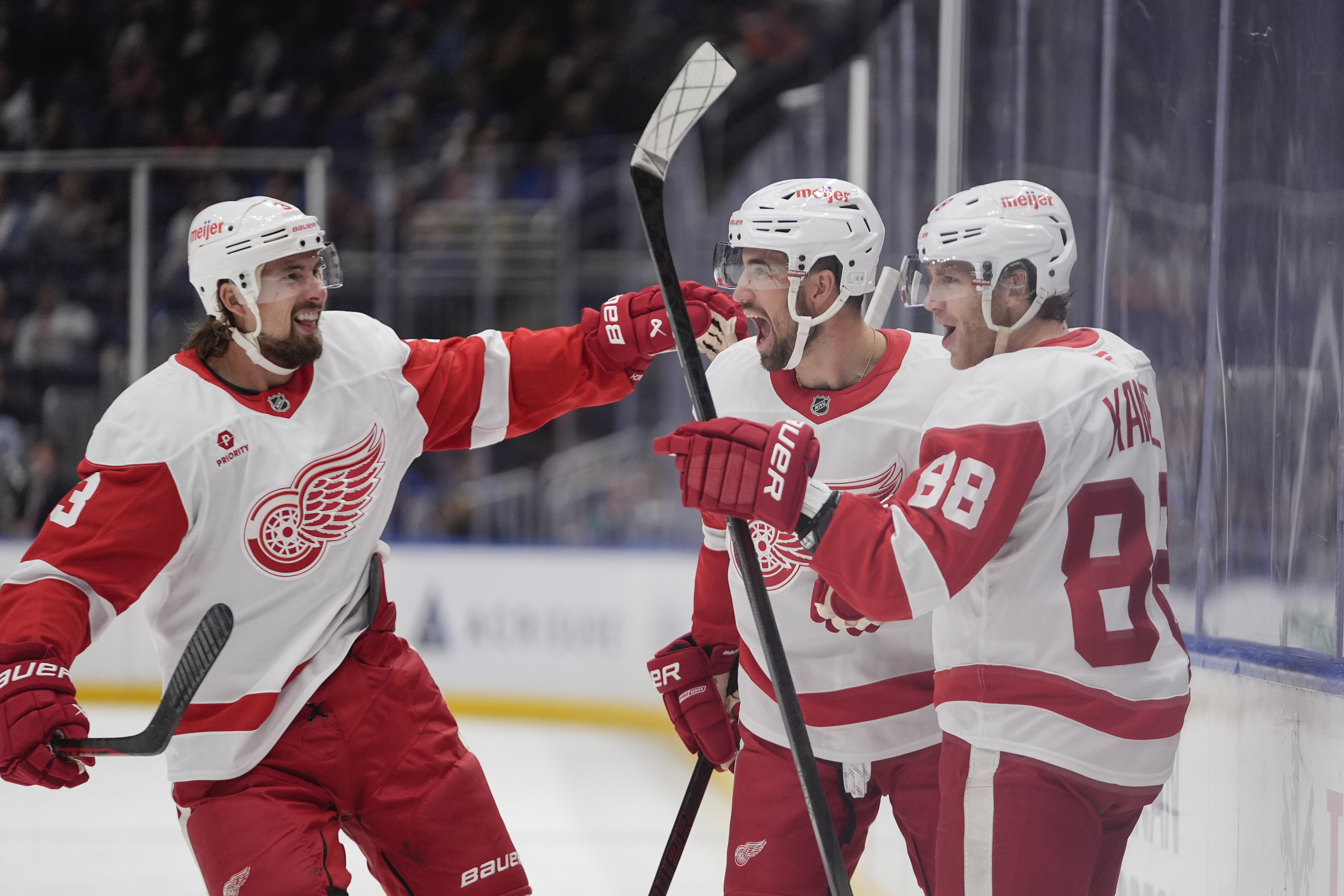 Red Wings Islanders Hockey