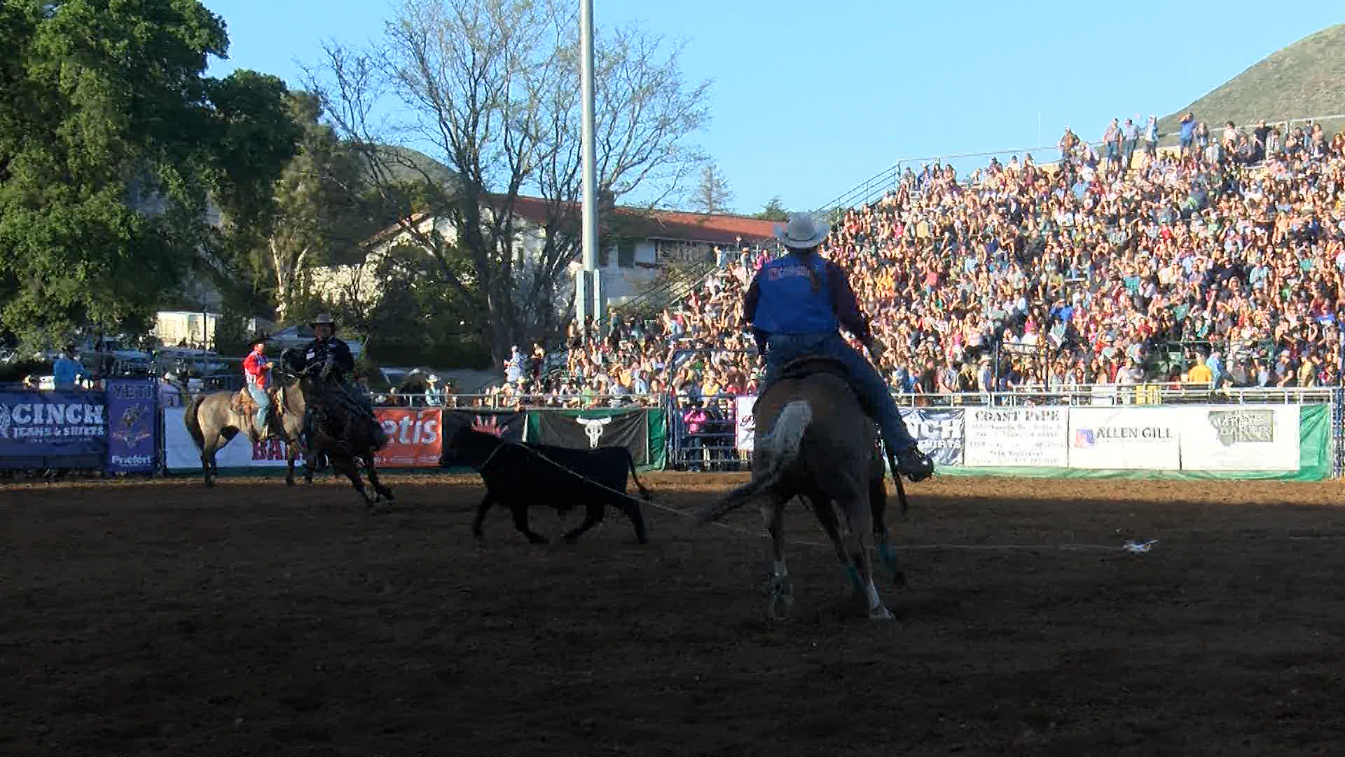 poly royal spanos.jpg