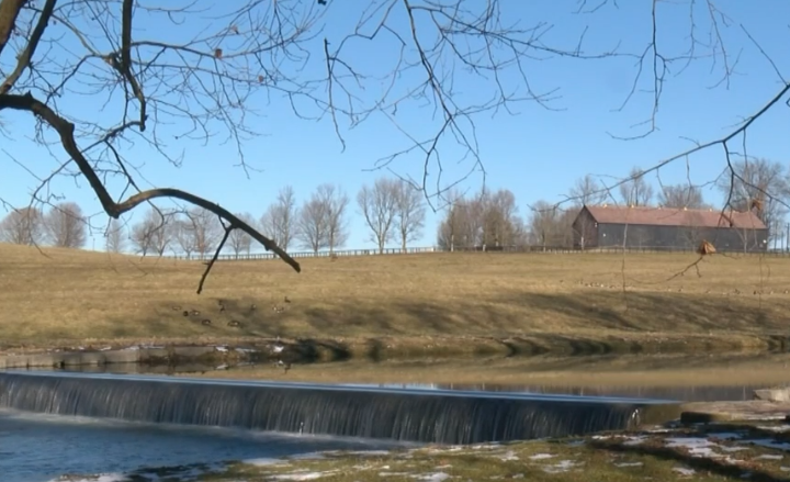 Claiborne Farm.PNG