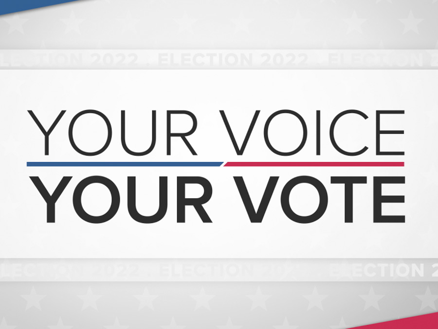 Your Voice Your Vote