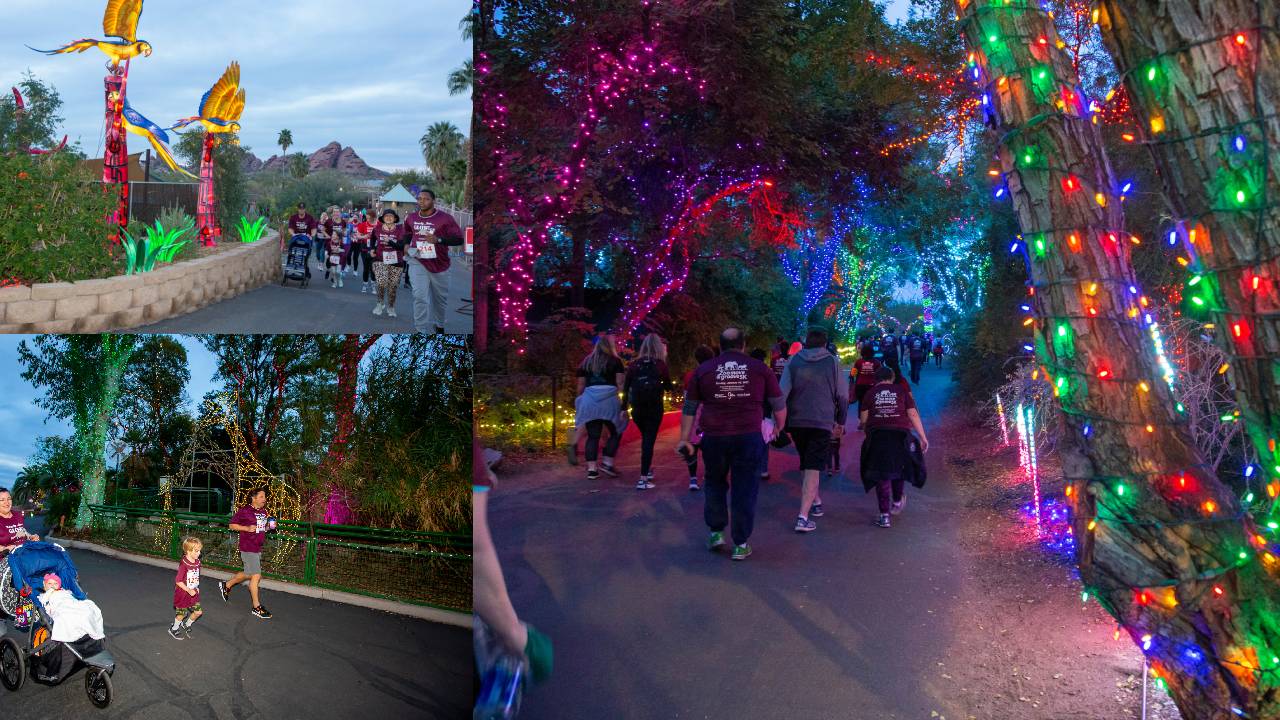 Phoenix Zoo's 'Move & Groove 5K' 