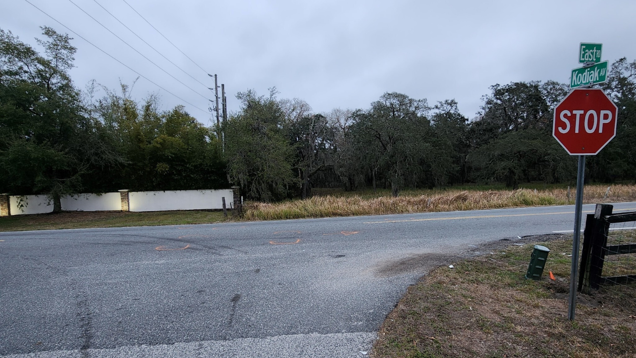 Kodiak Avenue Pasco County