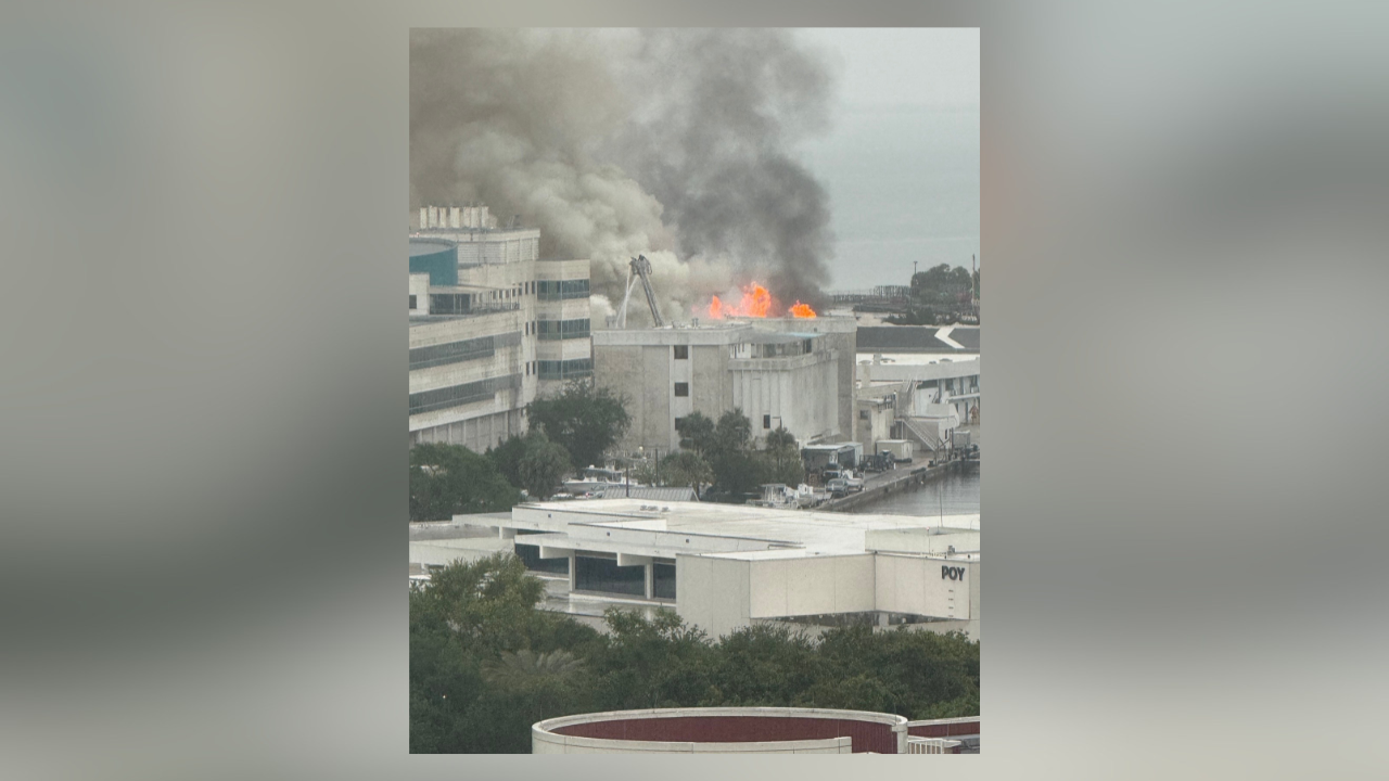 2-alarm fire erupts at commercial building on USF St. Petersburg campus