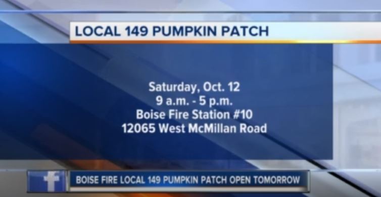 149 pumpkin patch.JPG