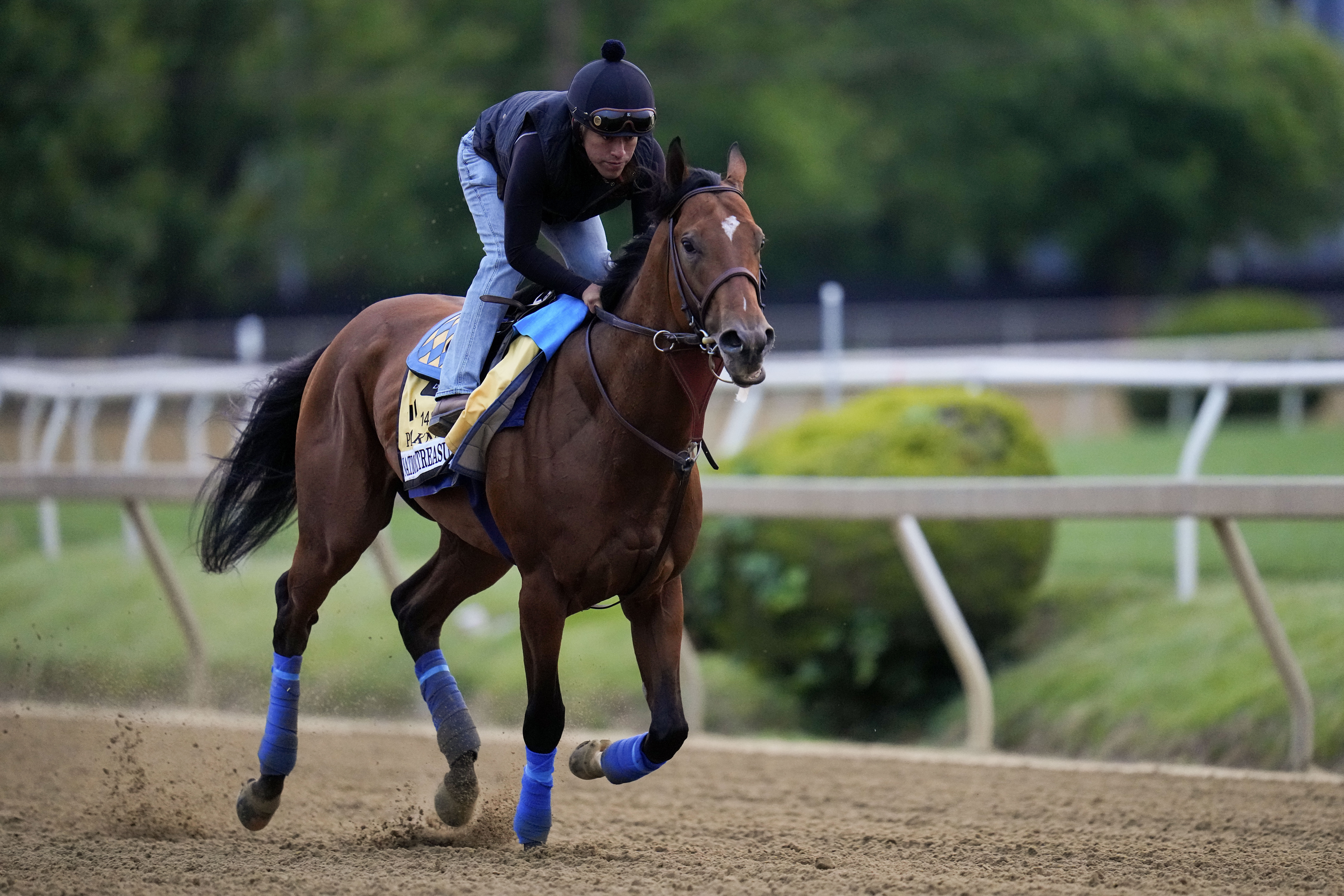 Preakness Horse Racing