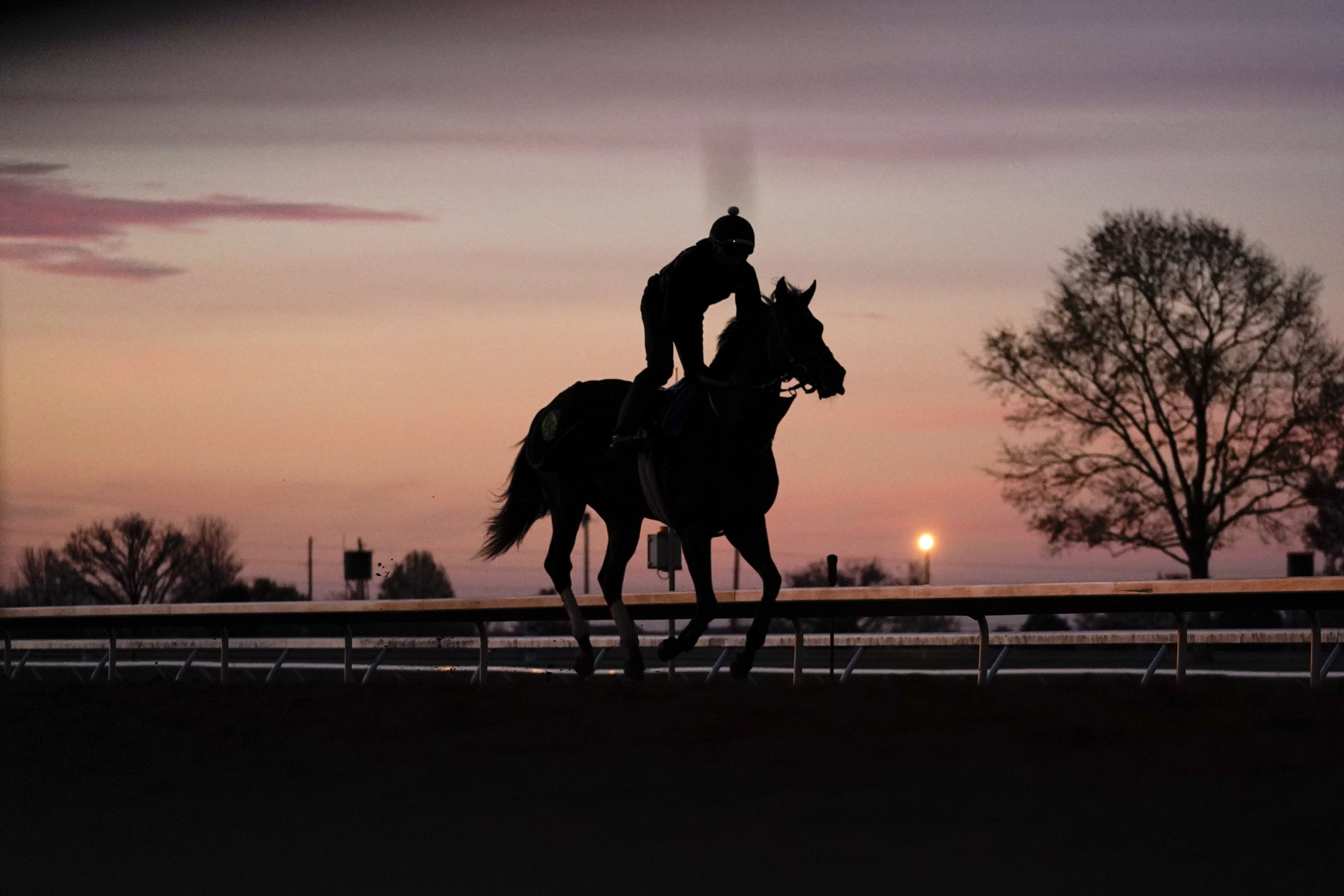 APTOPIX Breeders Cup Classic Horse Racing