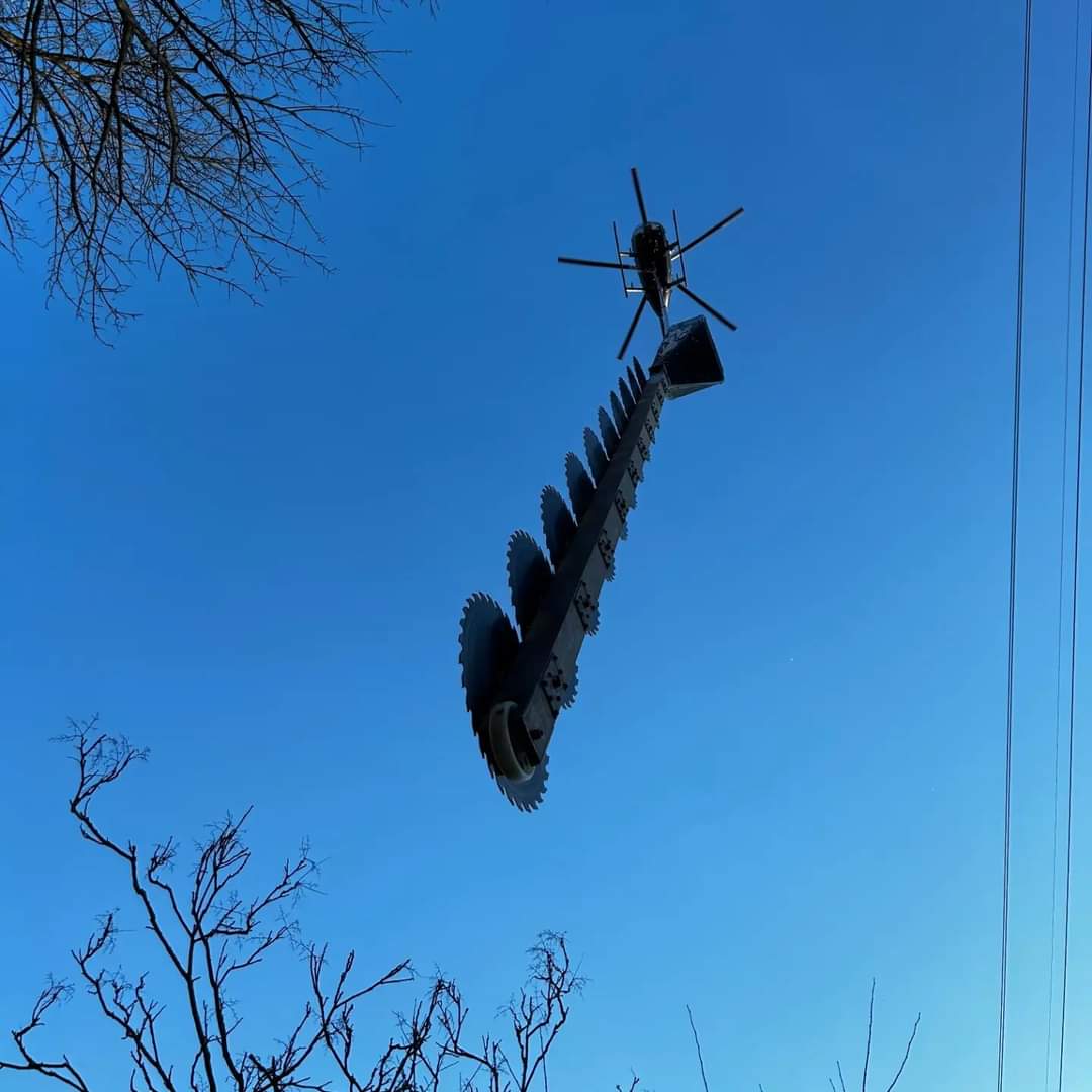 aerial tree trimming