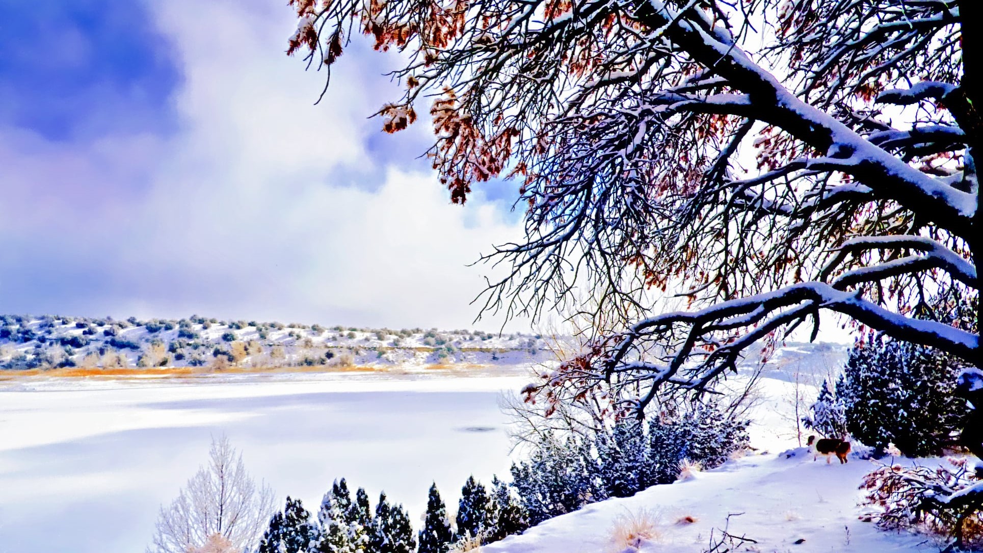 Brush Hollow Reservoir Penrose CO Carol Gebhart