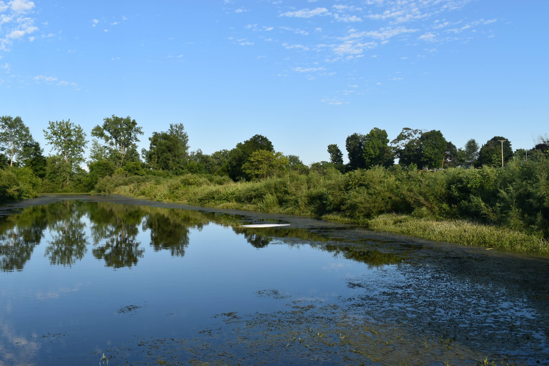 Bangor Township drowning