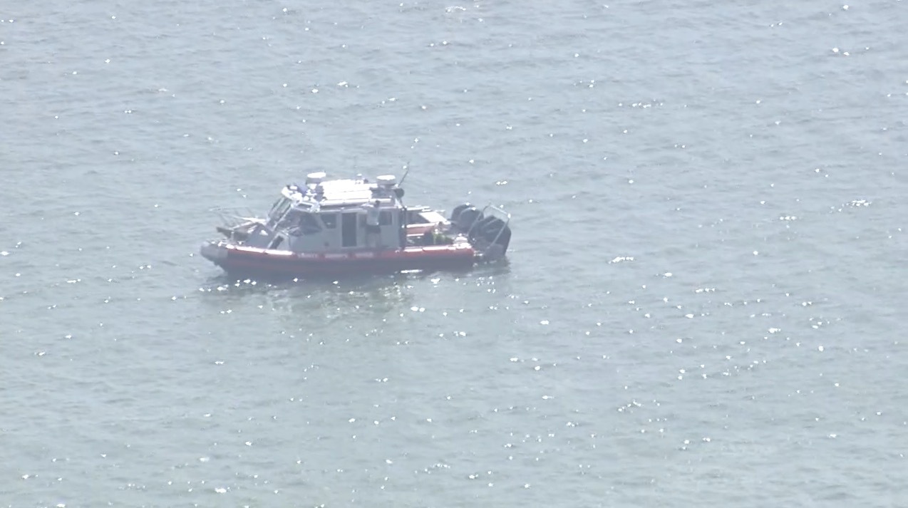 Search for missing swimmer