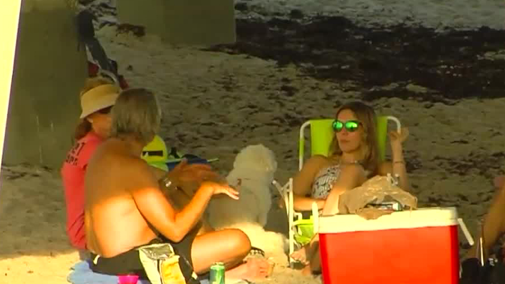 wptv-beachgoers.jpg