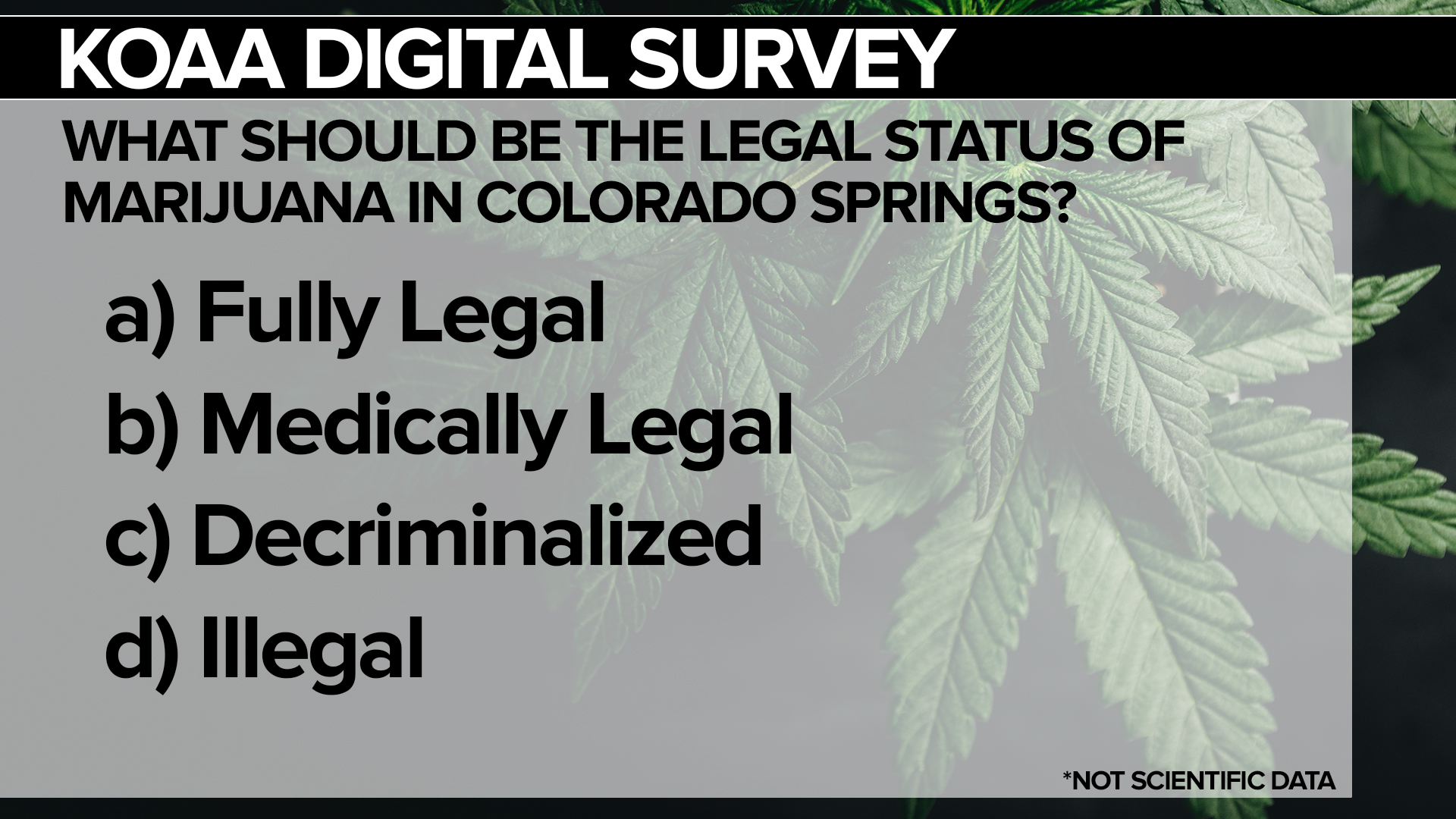 SURVEY Marijuana
