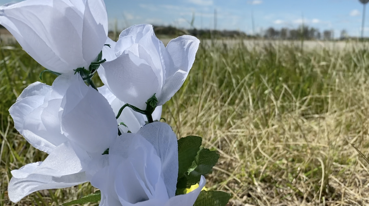 Teens killed on way to prom