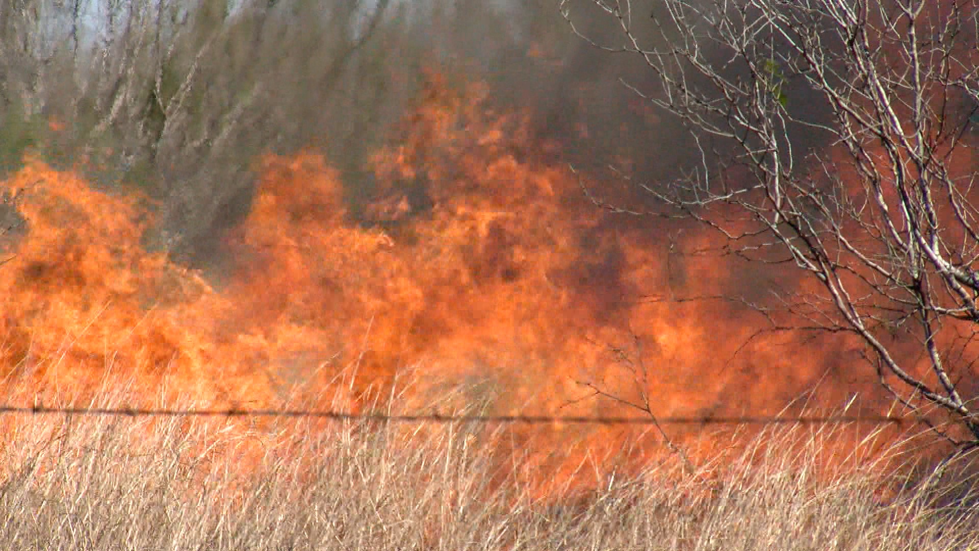 Busy 24 stretch for firefighters in Jim Wells County - Vimarsana News