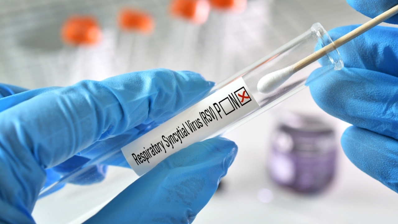 Someone with gloves holds RSV test kit.