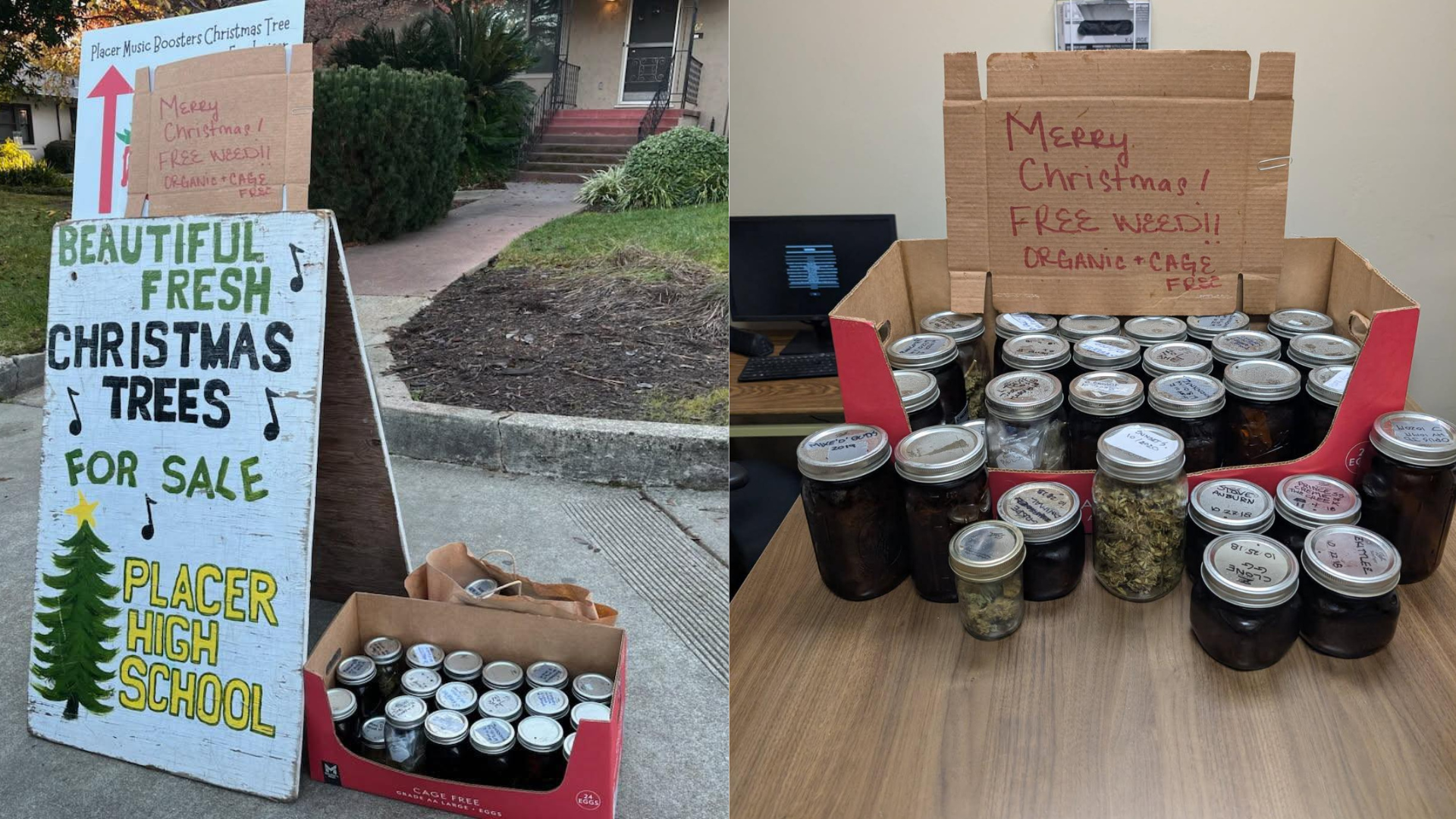 Auburn Police Department marijuana christmas display