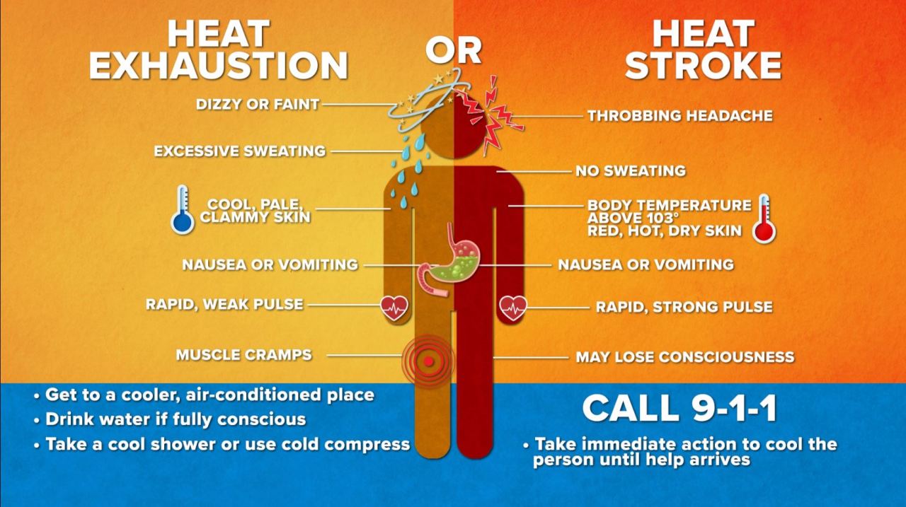 Heat Stroke vs Heat Exhaustion