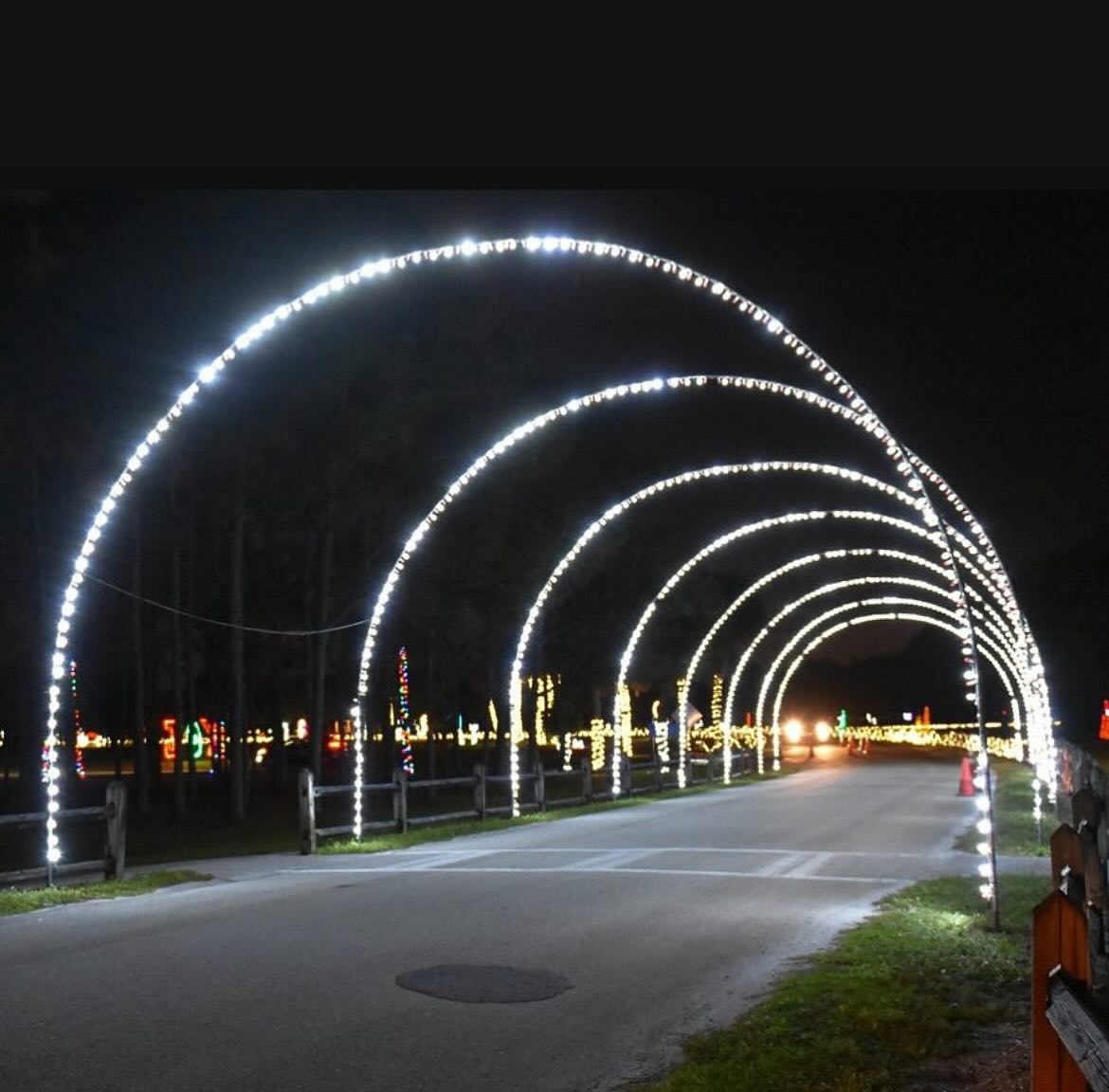 Lights4hope thumbnail.jpg