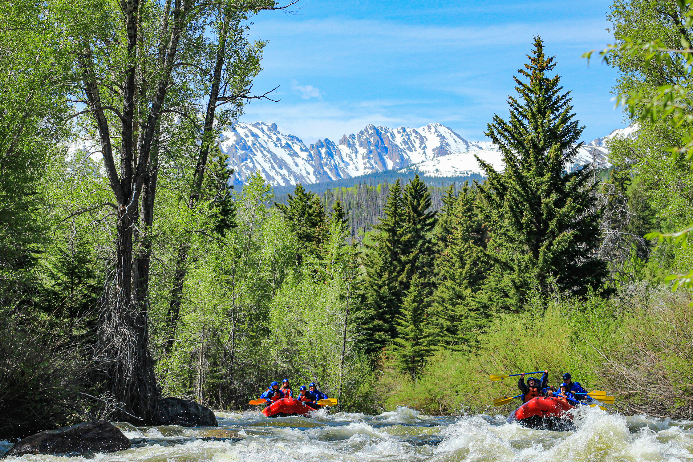 Blue River_Performance Tours Rafting