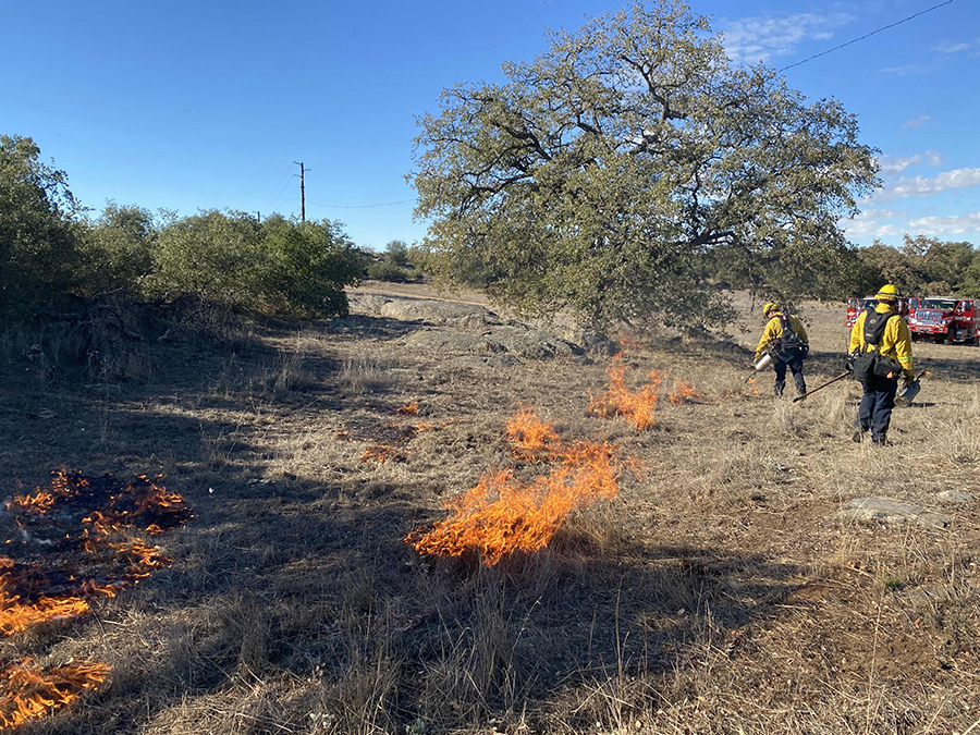 ramona_controlled_burn_cal_fire_120221.jpg