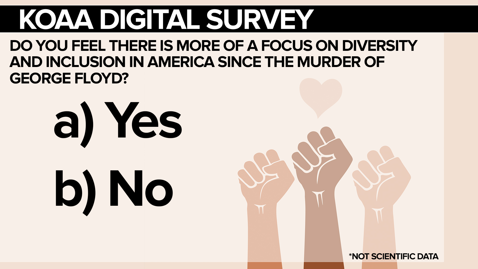 SURVEY Diversity FSG.jpg