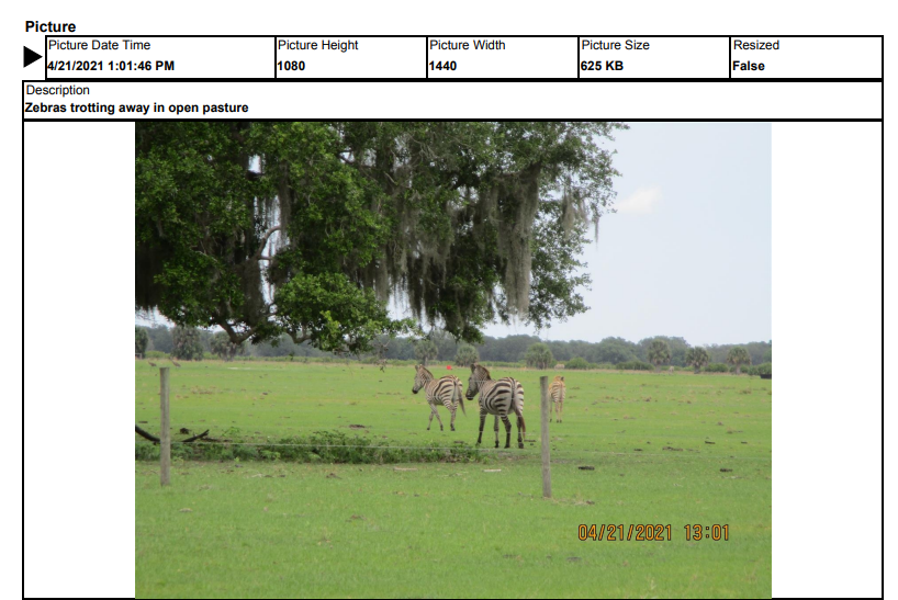 florida FWC report showing Zebras.png