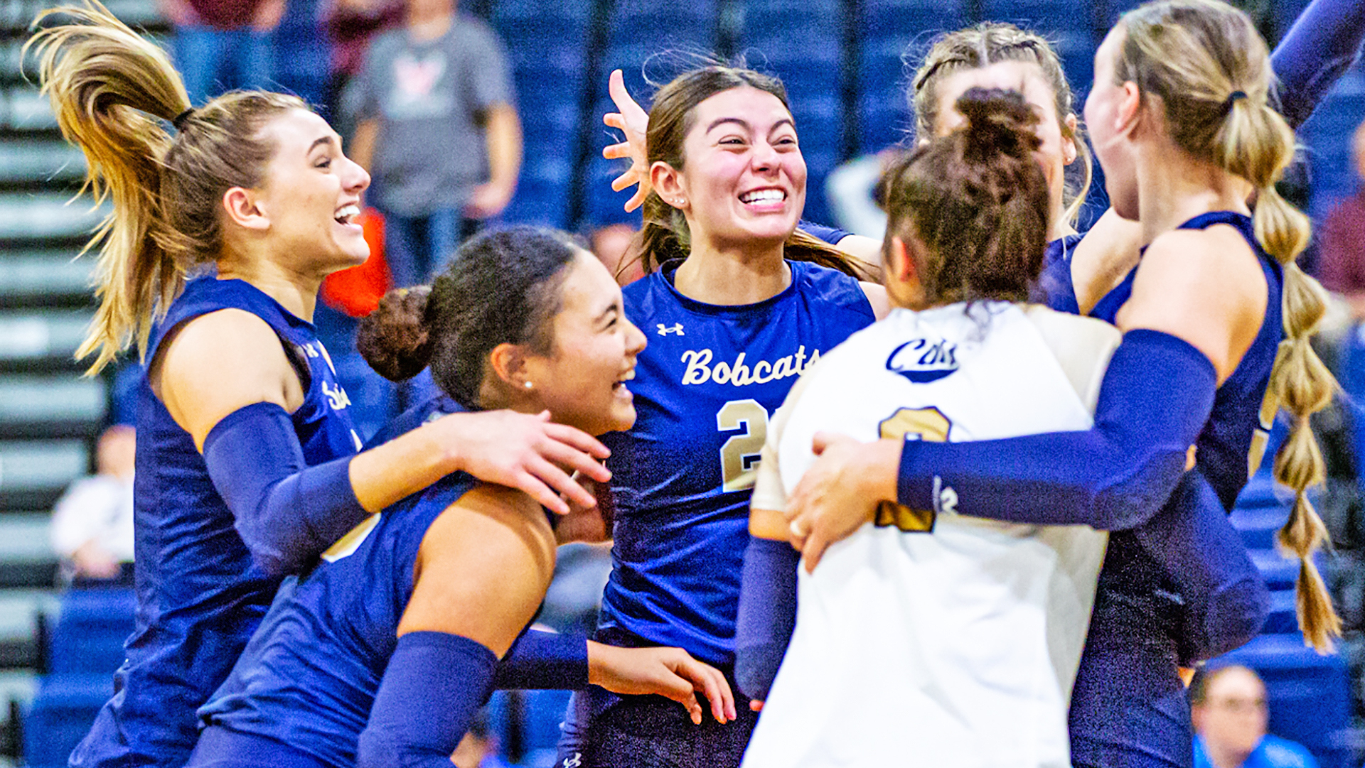 Montana State volleyball 