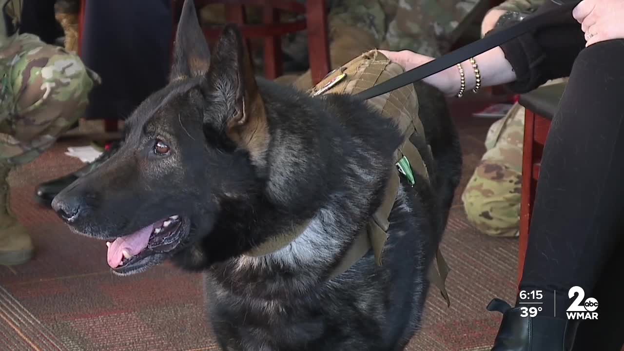 Nick the Bomb Detection Dog.jpg