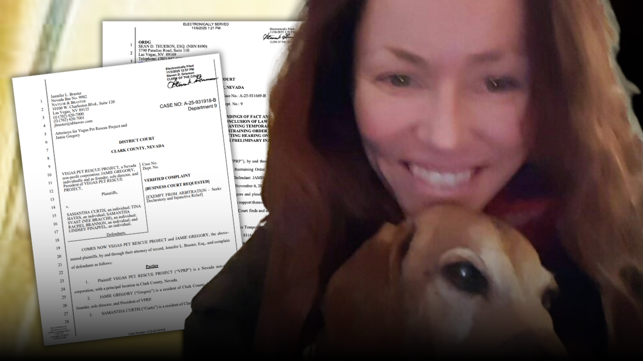 After being sued by her board, Vegas Pet Rescue Project founder Jamie Gregory files her own lawsuit as board alleges theft and embezzlement of donor funds meant for animals.