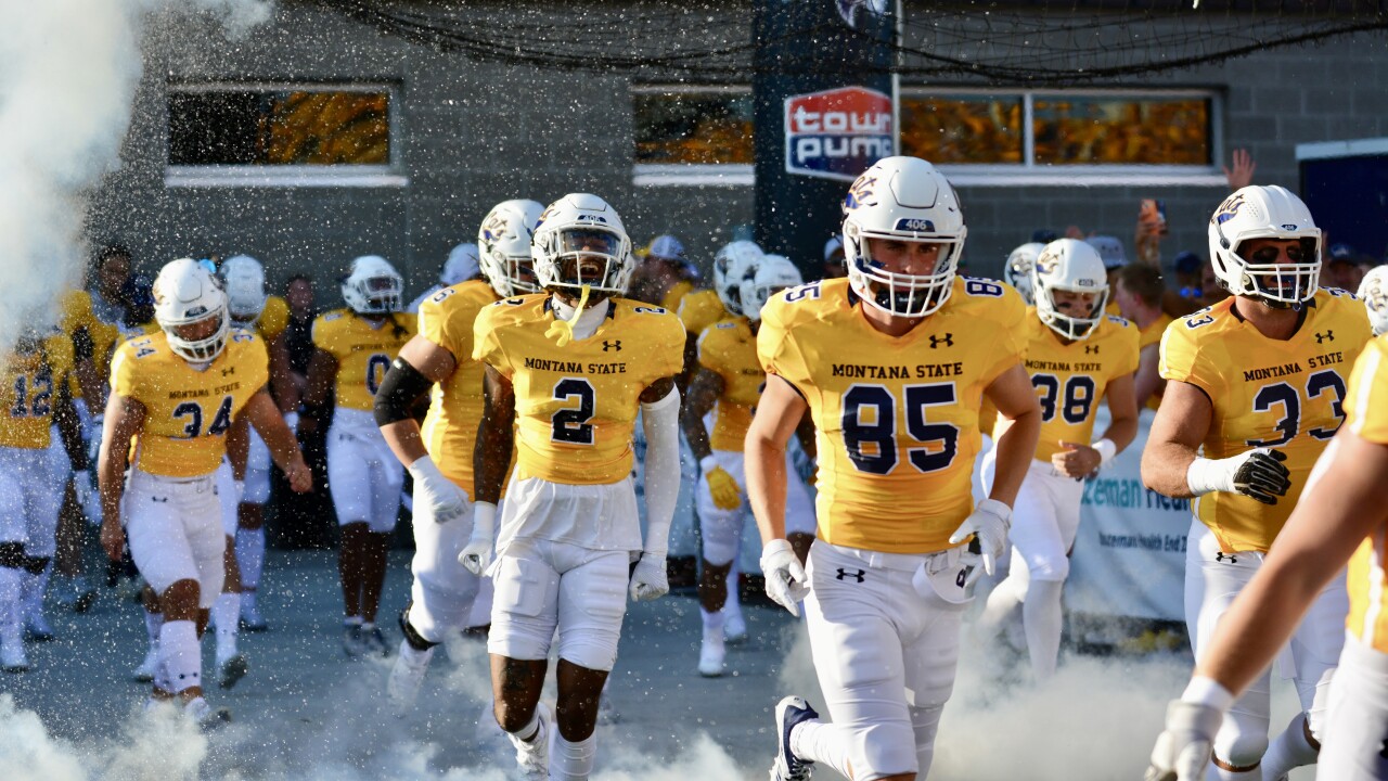msu bobcats 2022.jpg