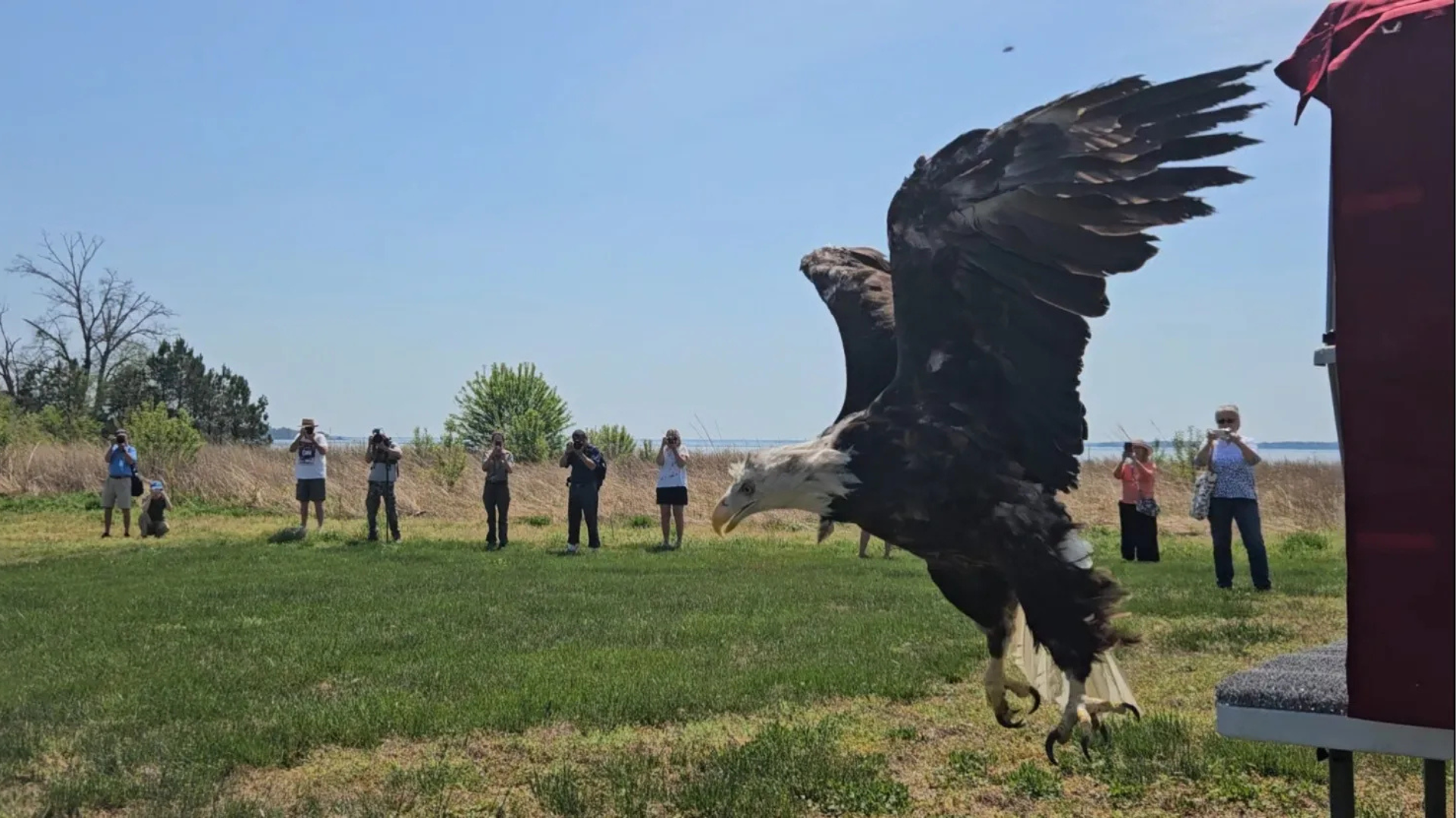 Wildlife Center of Virginia