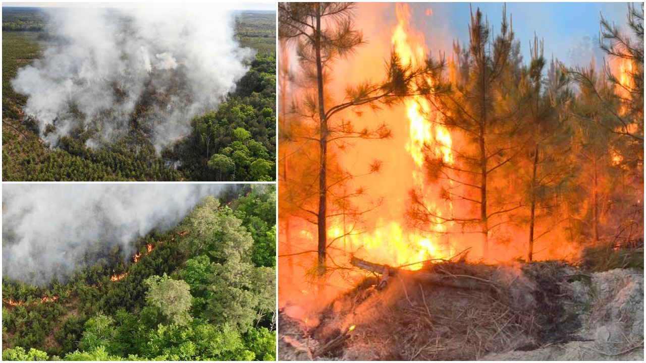 Chesterfield Brush Fire