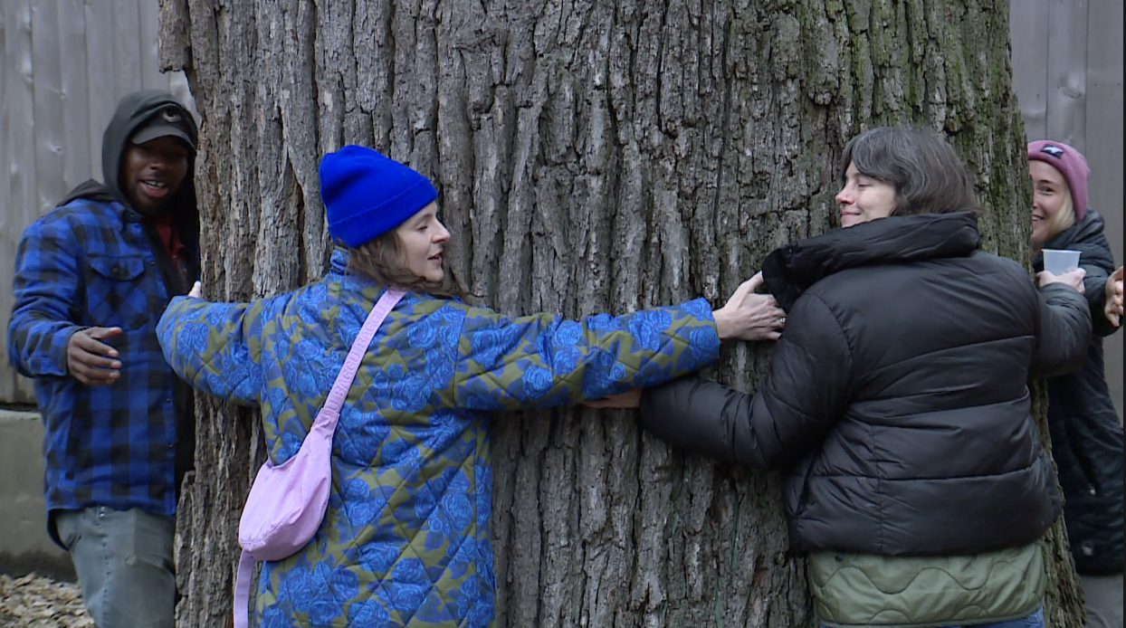 Frank the Liberty Tree
