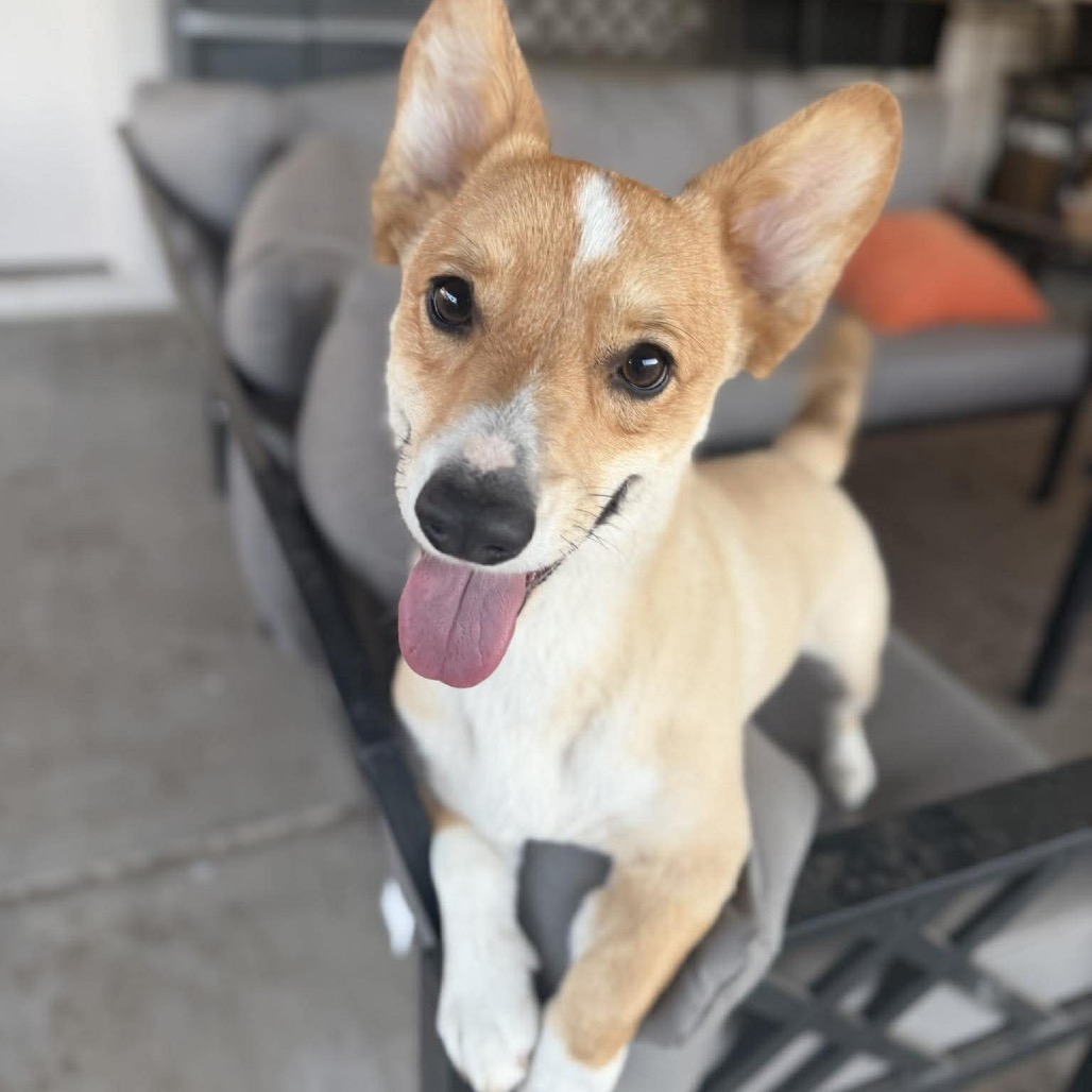 Charlie