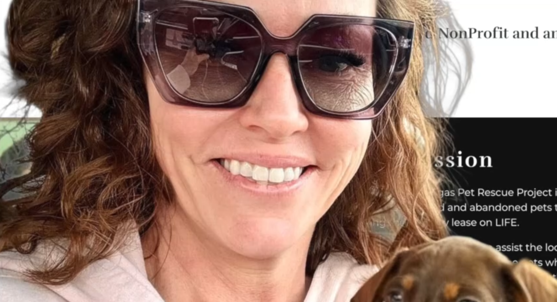 Vegas Pet Rescue Project Settlement