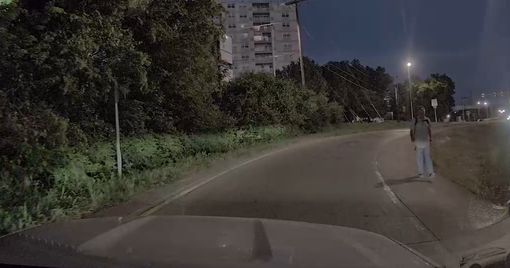 Rainey Walking Down Ramp.png