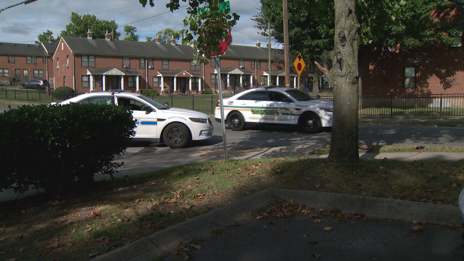 lewis st shooting