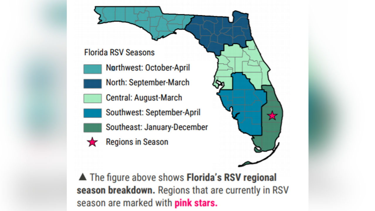 Florida-RSV-Seasons-FLORIDA-DEPARTMENT-OF-HEALTH.jpg