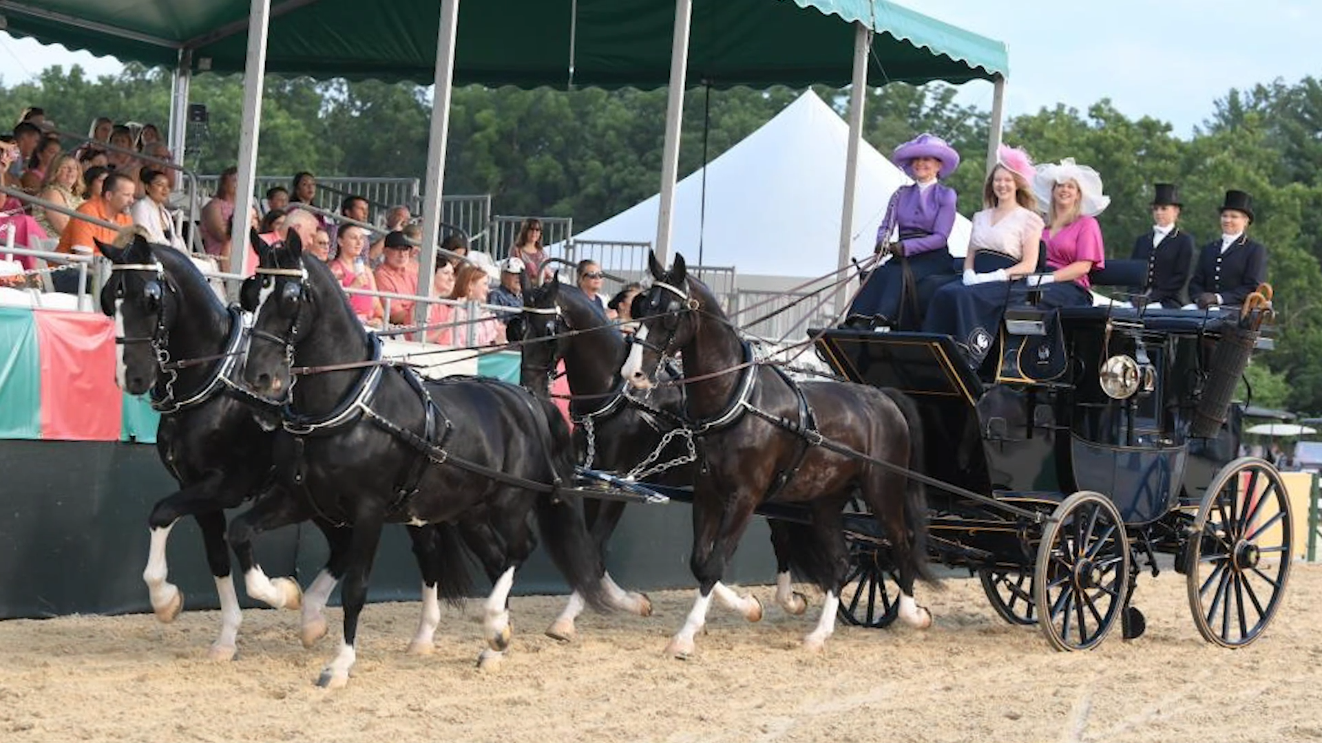 Lexington Junior League Charity Horse Show